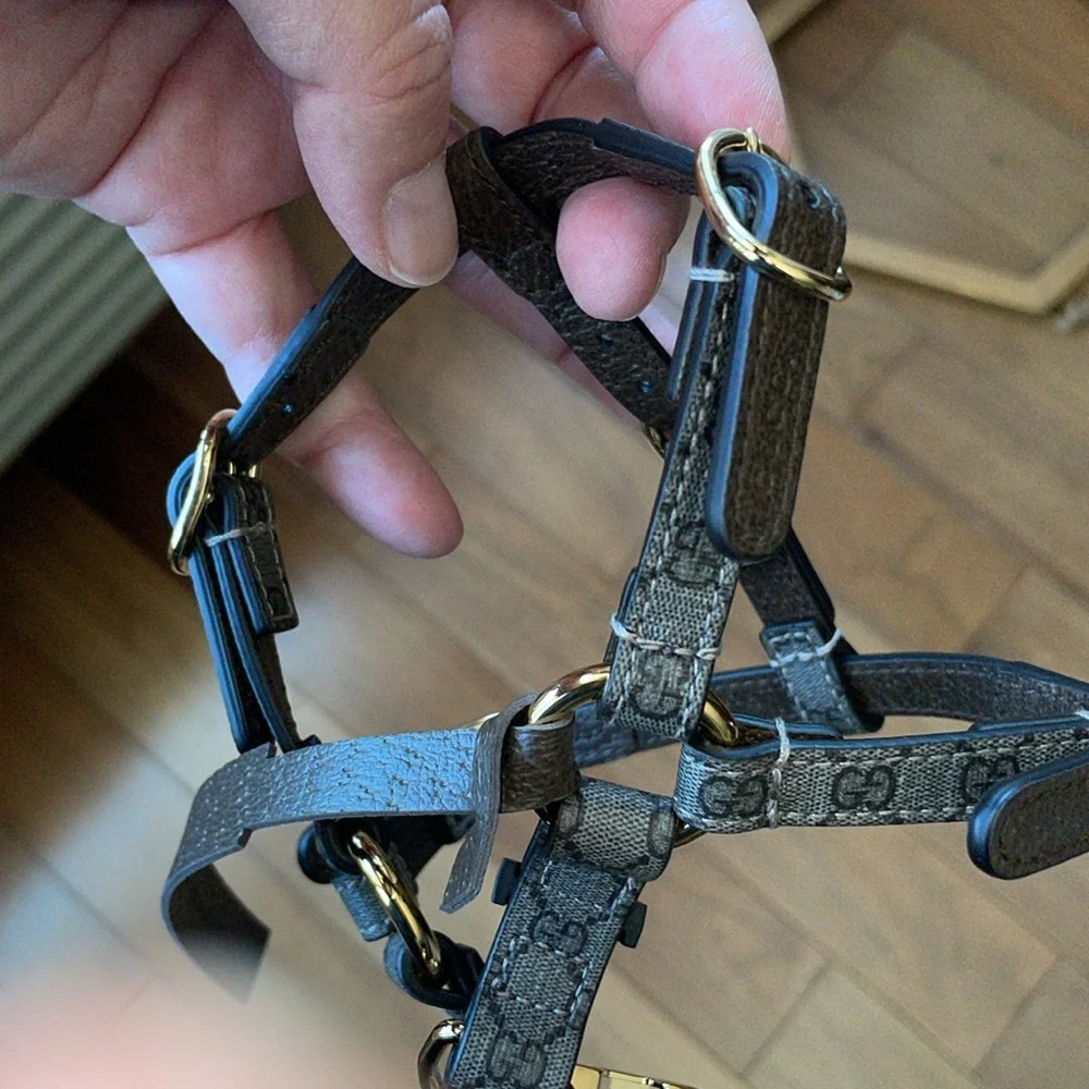 Nwot Gucci ex small pet harness